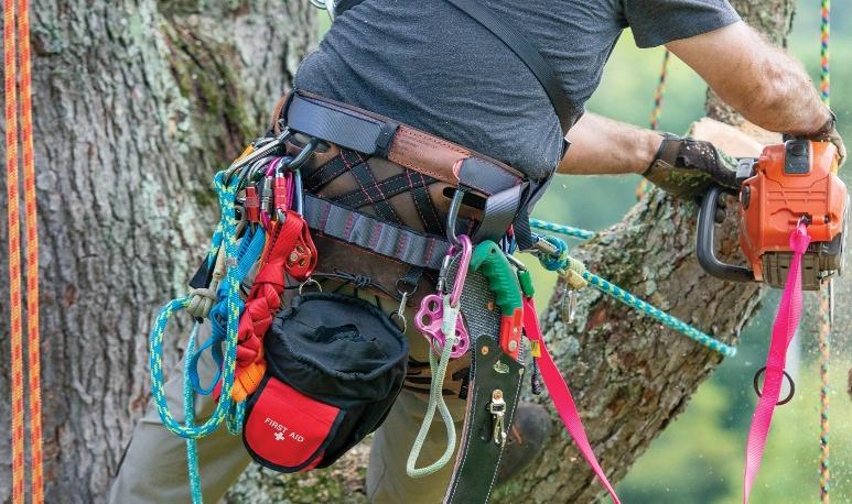 Denali Climbing Saddle