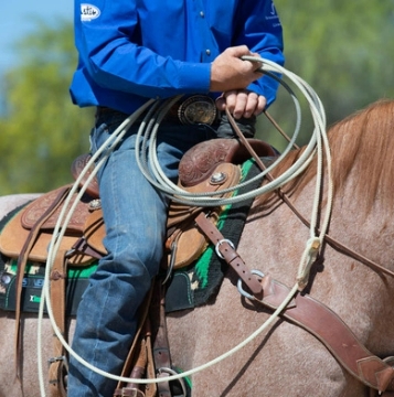 Synergy saddle pad